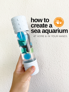 How to Create a Sea Aquarium at Home & in your Hands