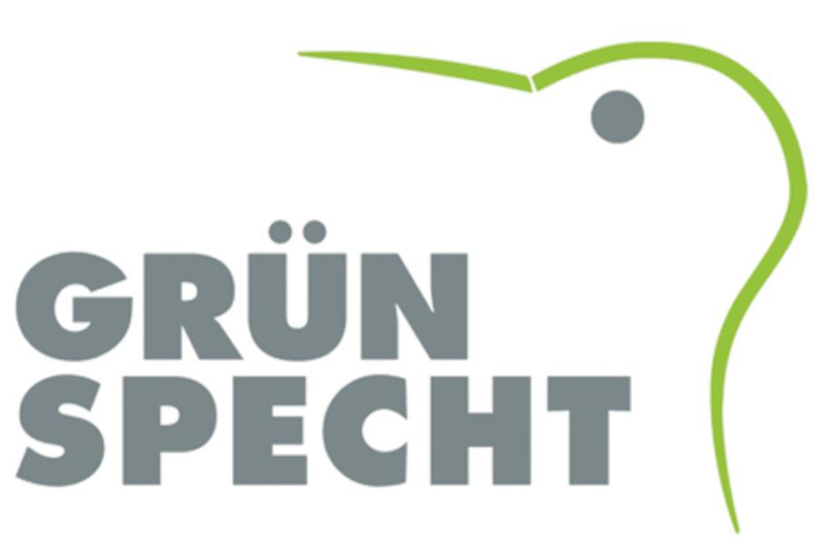 Grünspecht