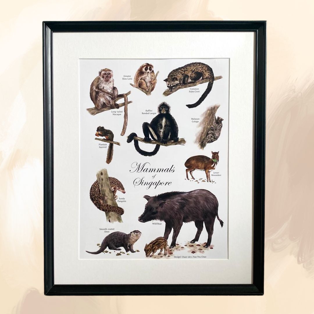 Mammals of Singapore Poster [Minimalist Design]