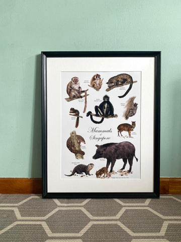 Mammals of Singapore Poster [Minimalist Design]