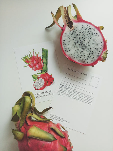 Fruits of Singapore Postcards