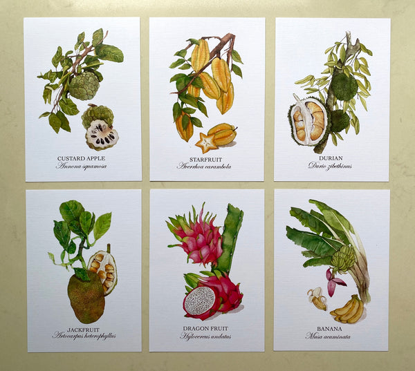 Fruits of Singapore Postcards (Set of 12)