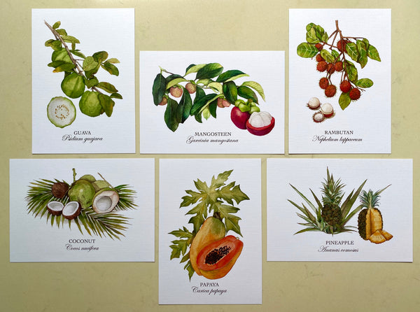 Fruits of Singapore Postcards