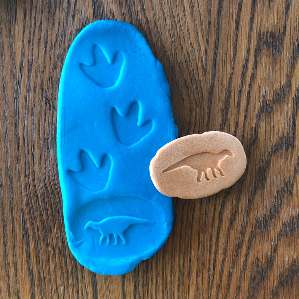 Dinosaur Footprints Sensory Stones (2-sided)