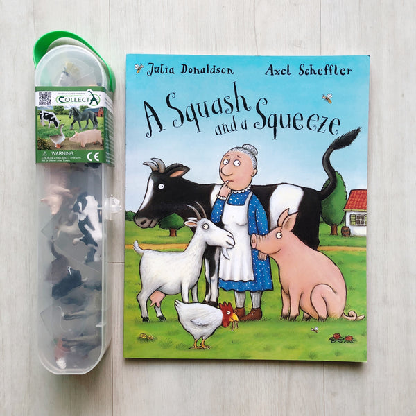 ‘A Squash and A Squeeze’ by Julia Donaldson Playdough Book Kit