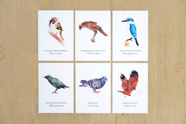 Birds of Singapore Postcards