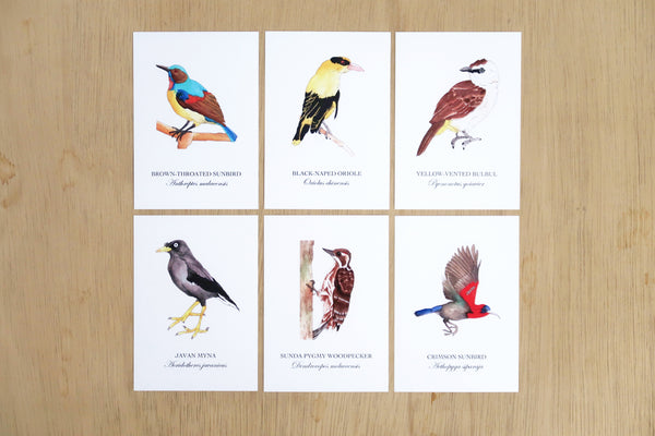 Birds of Singapore Postcards I (Set of 12)