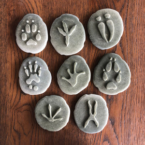 Woodland Footprints Sensory Stones (2-sided)