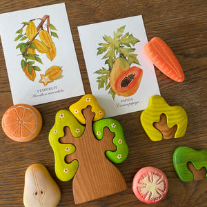 Fruits of Singapore Postcards