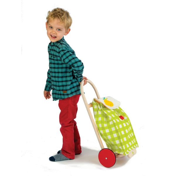 Shopping Trolley Cloth Bag