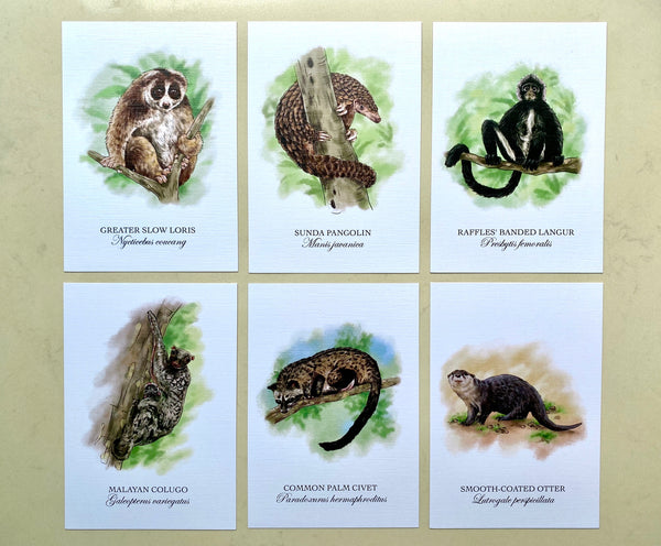 Mammals of Singapore Postcards (Set of 10)