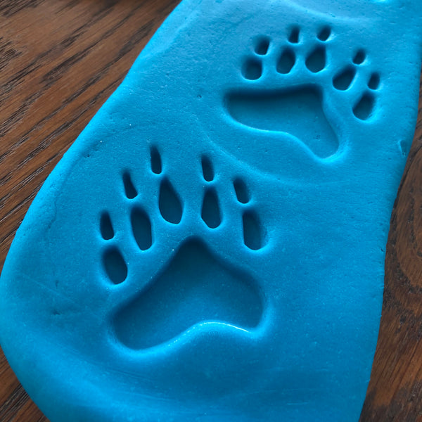 Polar Footprints Sensory Stones (2-sided)